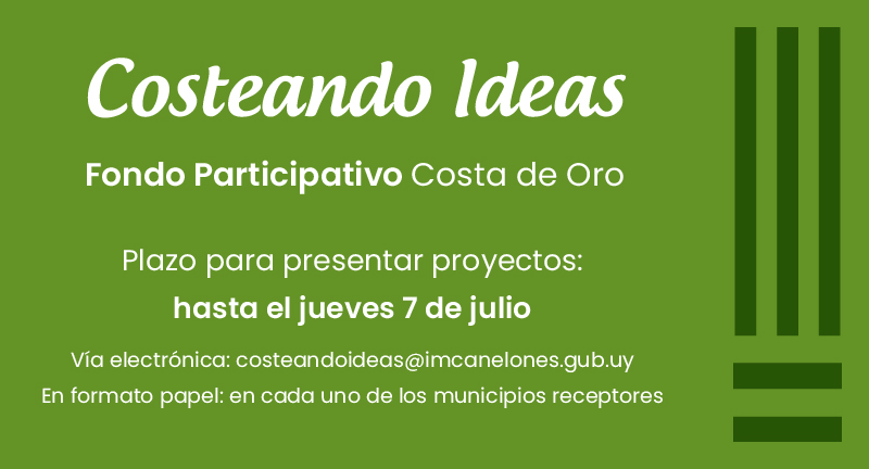 Texto descriptivo de la imagen