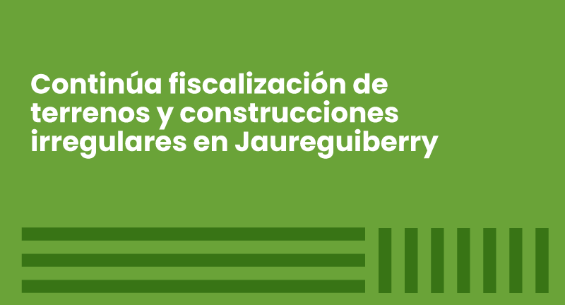 Texto descriptivo de la imagen