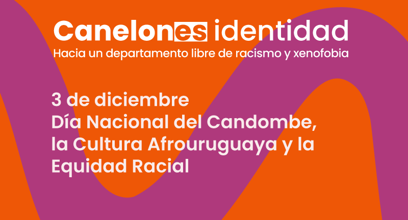 Texto descriptivo de la imagen