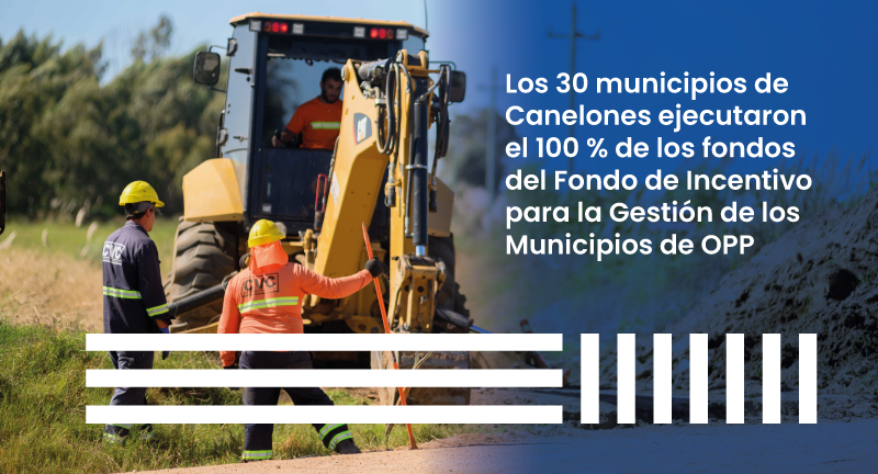 Texto descriptivo de la imagen