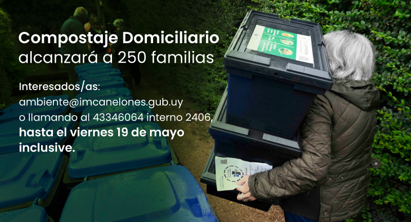 Texto descriptivo de la imagen