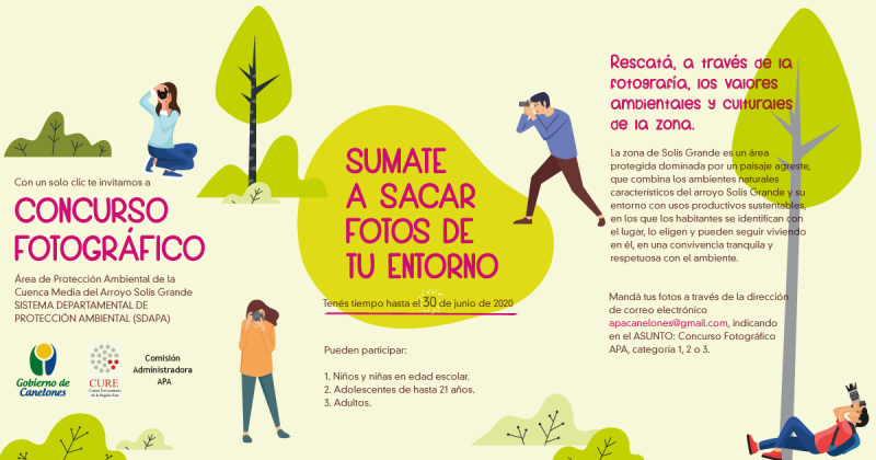 Texto descriptivo de la imagen