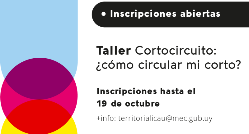 Texto descriptivo de la imagen