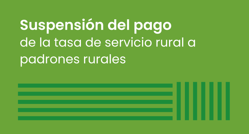 Texto descriptivo de la imagen
