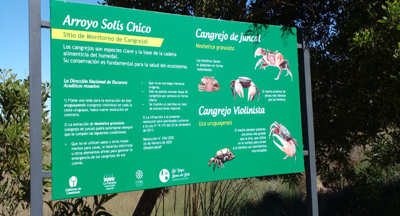 Texto descriptivo de la imagen