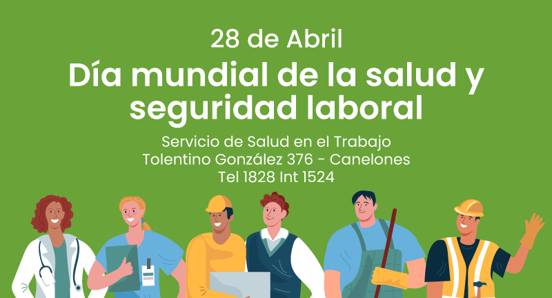 Texto descriptivo de la imagen