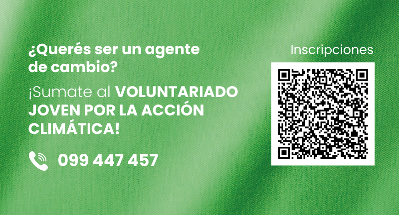 Texto descriptivo de la imagen