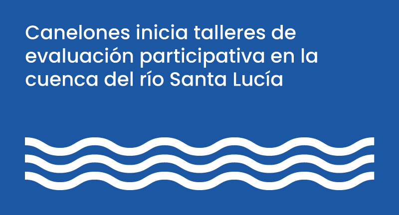 Texto descriptivo de la imagen
