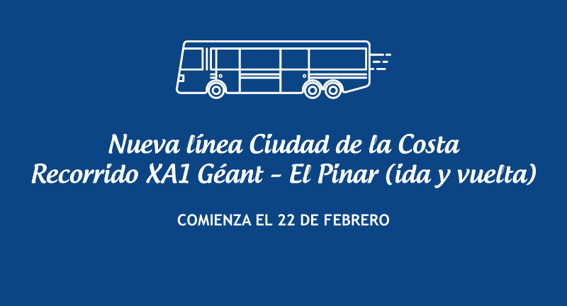 Texto descriptivo de la imagen