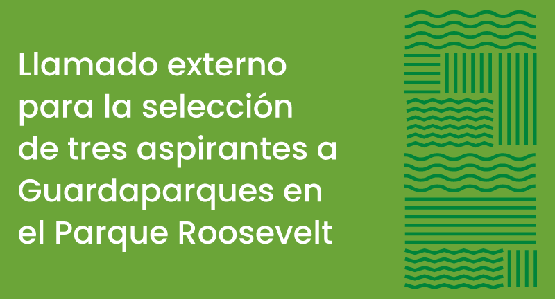 Texto descriptivo de la imagen