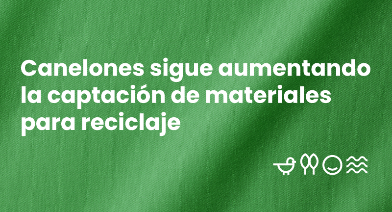 Texto descriptivo de la imagen