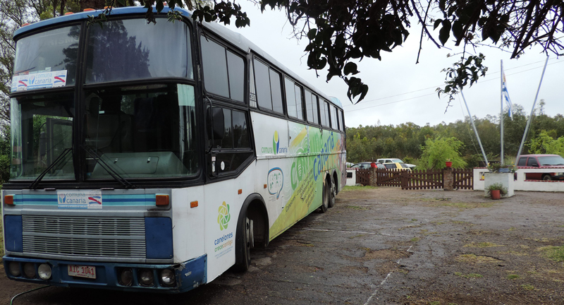 Texto descriptivo de la imagen