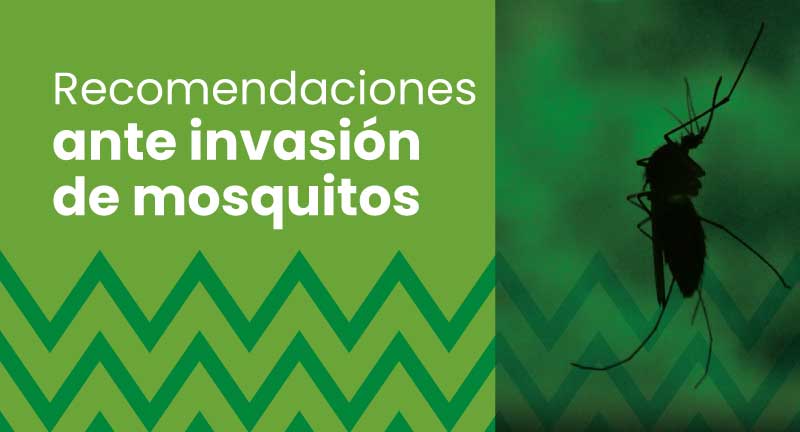 Texto descriptivo de la imagen