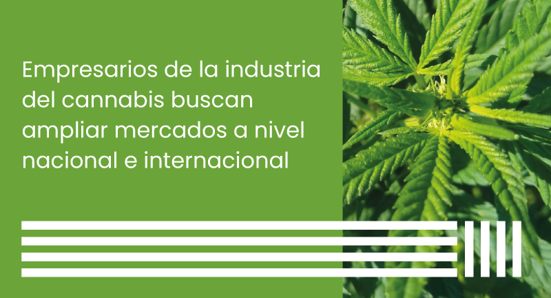Texto descriptivo de la imagen