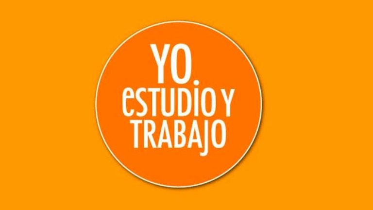Texto descriptivo de la imagen