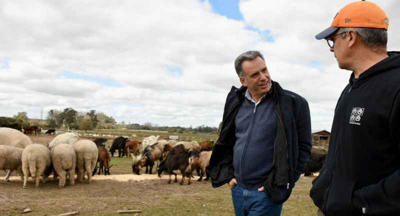 Intendente Orsi visitó la chacra de Animales Sin Hogar 