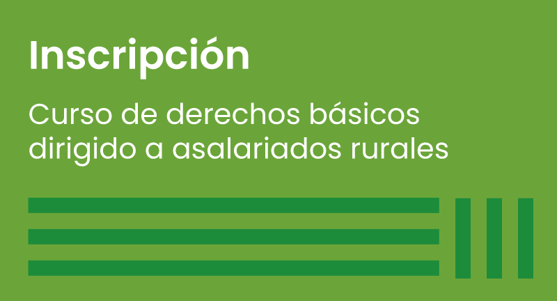Texto descriptivo de la imagen