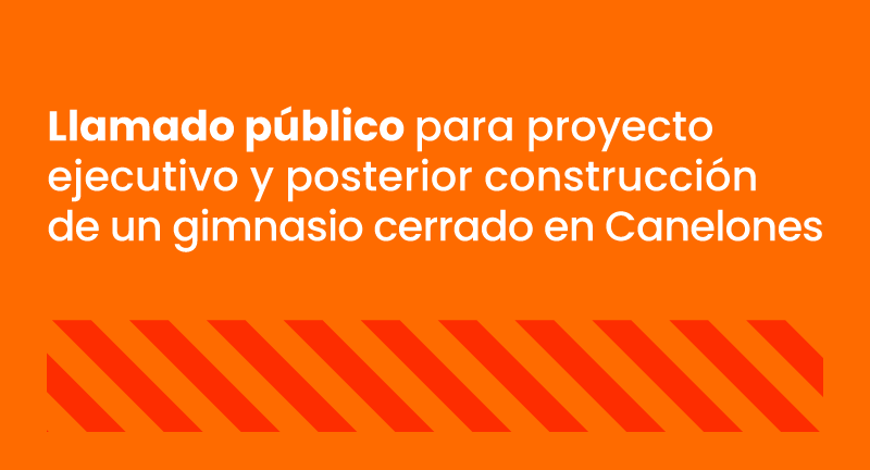 Texto descriptivo de la imagen
