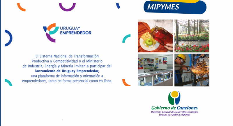 Texto descriptivo de la imagen