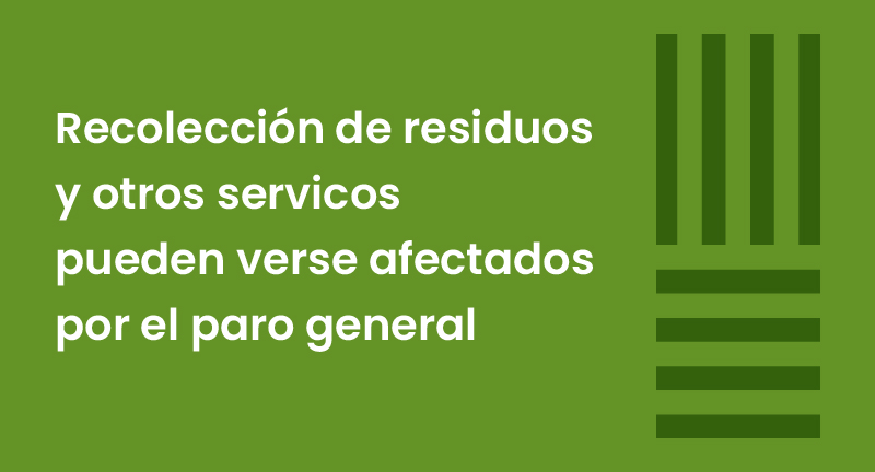 Texto descriptivo de la imagen