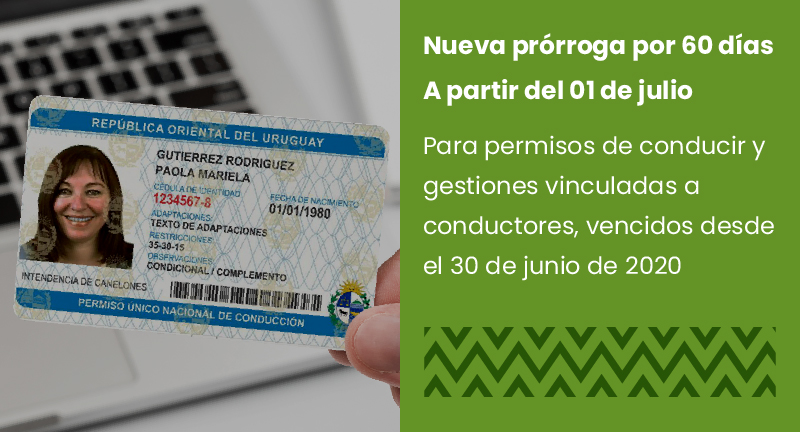 Texto descriptivo de la imagen