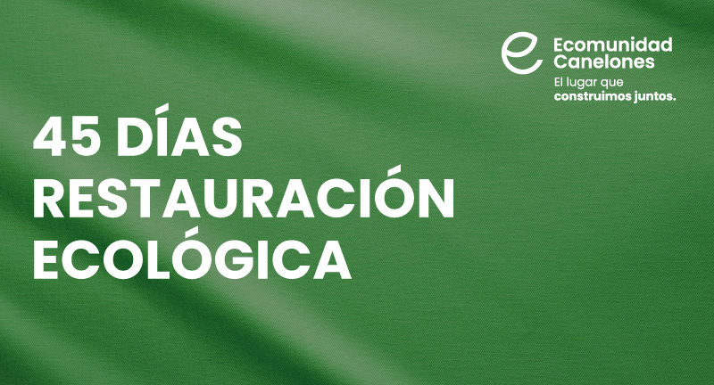 Texto descriptivo de la imagen