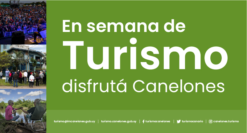 Texto descriptivo de la imagen