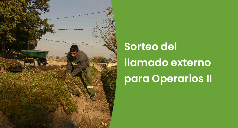 Texto descriptivo de la imagen