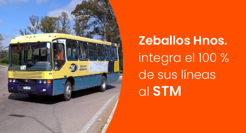 Texto descriptivo de la imagen