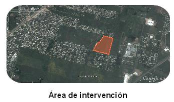 Texto descriptivo de la imagen