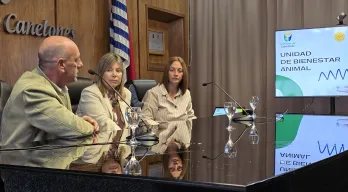 Imagen Canelones lanzó portal de adopción de mascotas y presentó avances en bienestar animal