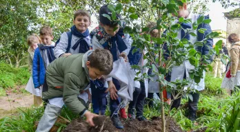 Imagen Plantación de camelias y magnolias en la Quinta Capurro de Santa Lucía