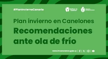 agregar descripción de la imagen
