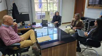agregar descripción de la imagen