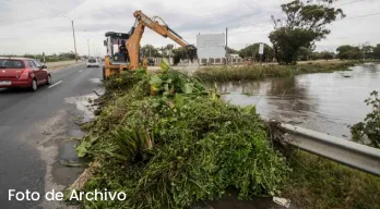 agregar descripción de la imagen