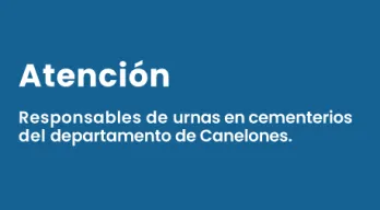 agregar descripción de la imagen