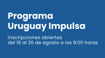 agregar descripción de la imagen
