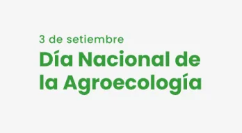 agregar descripción de la imagen