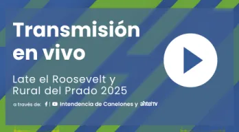 agregar descripción de la imagen