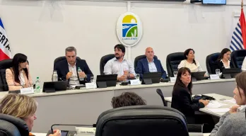 agregar descripción de la imagen