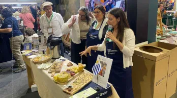 agregar descripción de la imagen