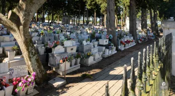 agregar descripción de la imagen