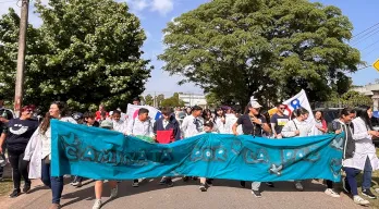 agregar descripción de la imagen