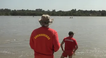 agregar descripción de la imagen