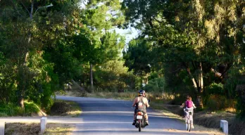 agregar descripción de la imagen