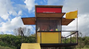 agregar descripción de la imagen