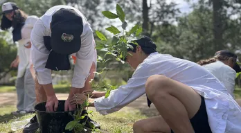 agregar descripción de la imagen