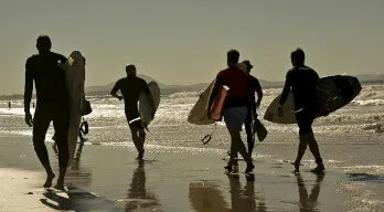 agregar descripción de la imagen