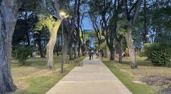 agregar descripción de la imagen