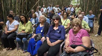 agregar descripción de la imagen